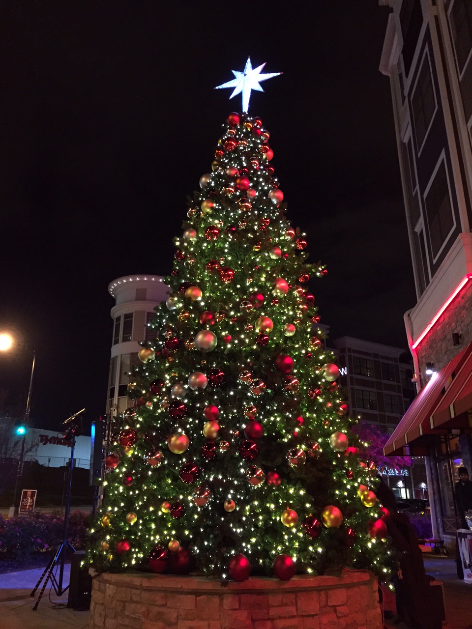 Celebrate the season at Rhode Island Row’s Tree Lighting