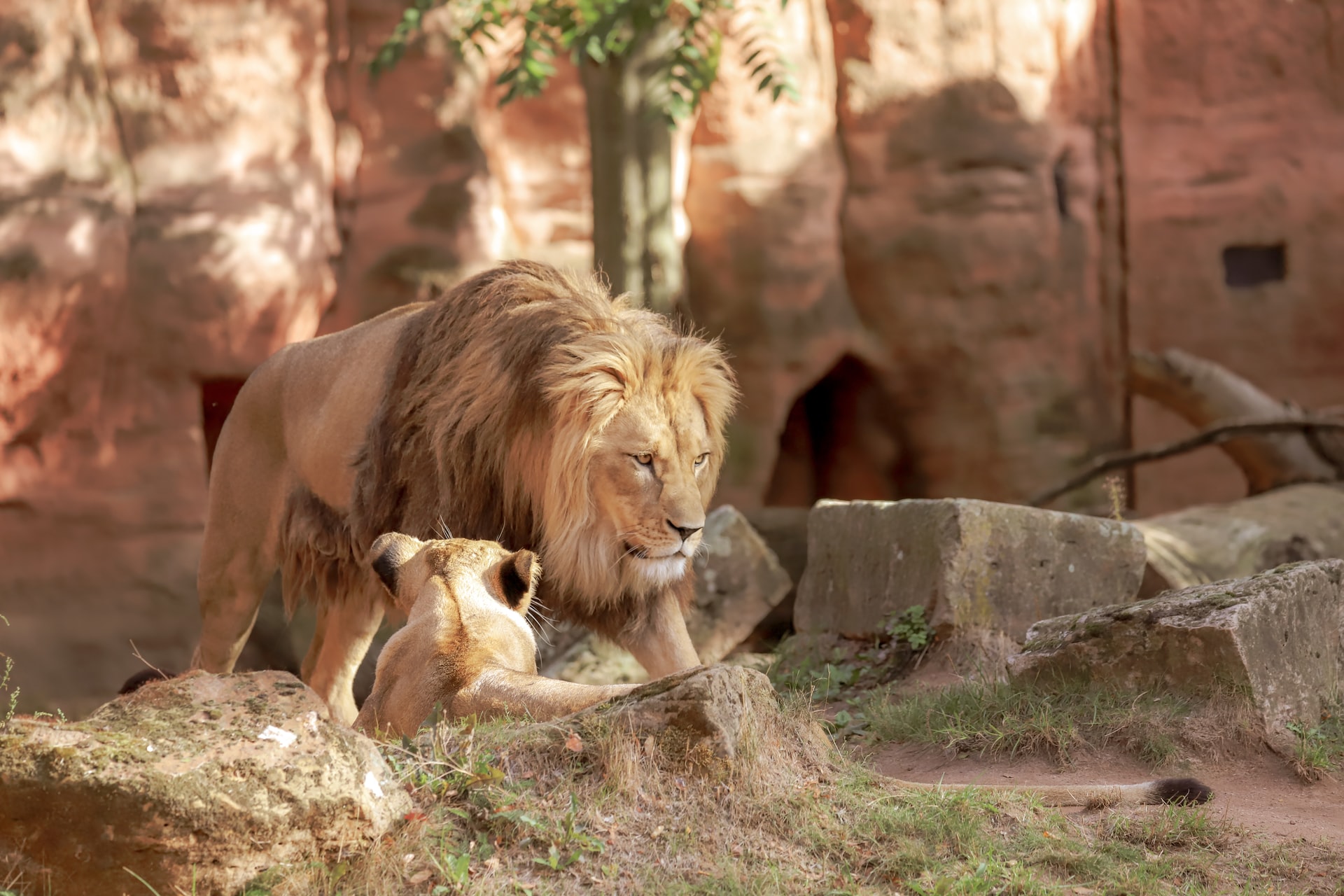 Smithsonian National Zoo: Take a Walk on the Wild Side