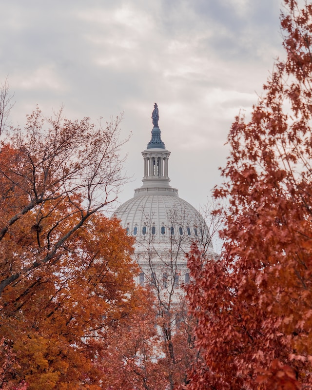 <strong>Discover Fall Magic in Washington, DC- Rhode Island Row’s Ultimate Guide</strong>